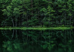 中嶋イッキュウ、FINLANDS、COTOBA等出演。日韓の女性Voバンド6組が一堂に会する"nowhere"2/11開催、出演者コメント＆タイムテーブル公開