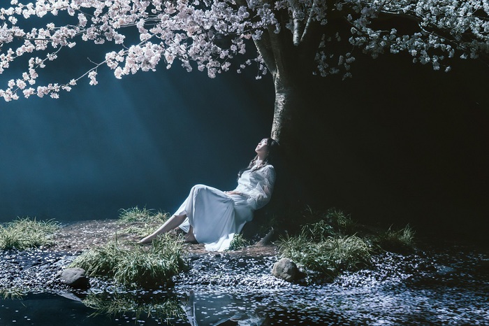 Aimer、YouTubeチャンネル登録者数100万人突破と最新シングル『春はゆく / marie』ヒット記念しMV 10作品一挙フル公開