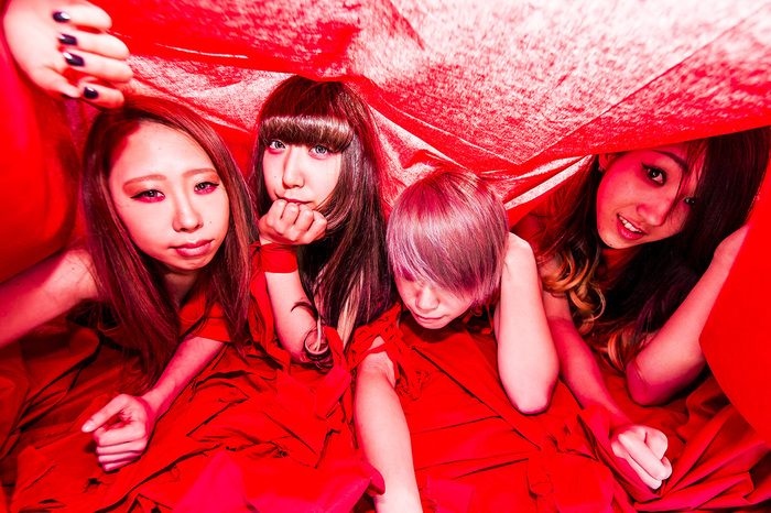 虎の子ラミー タオル＋サイン色紙