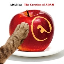 ADAM at