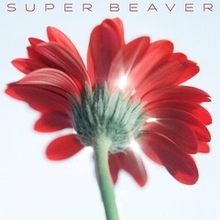 SUPER BEAVER