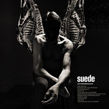 SUEDE