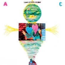 ANIMAL COLLECTIVE