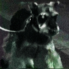 勢喜遊 & Yohji Igarashi