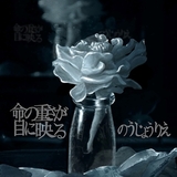 のうじょうりえ