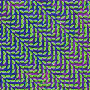 ANIMAL COLLECTIVE