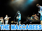 THE MACCABEES